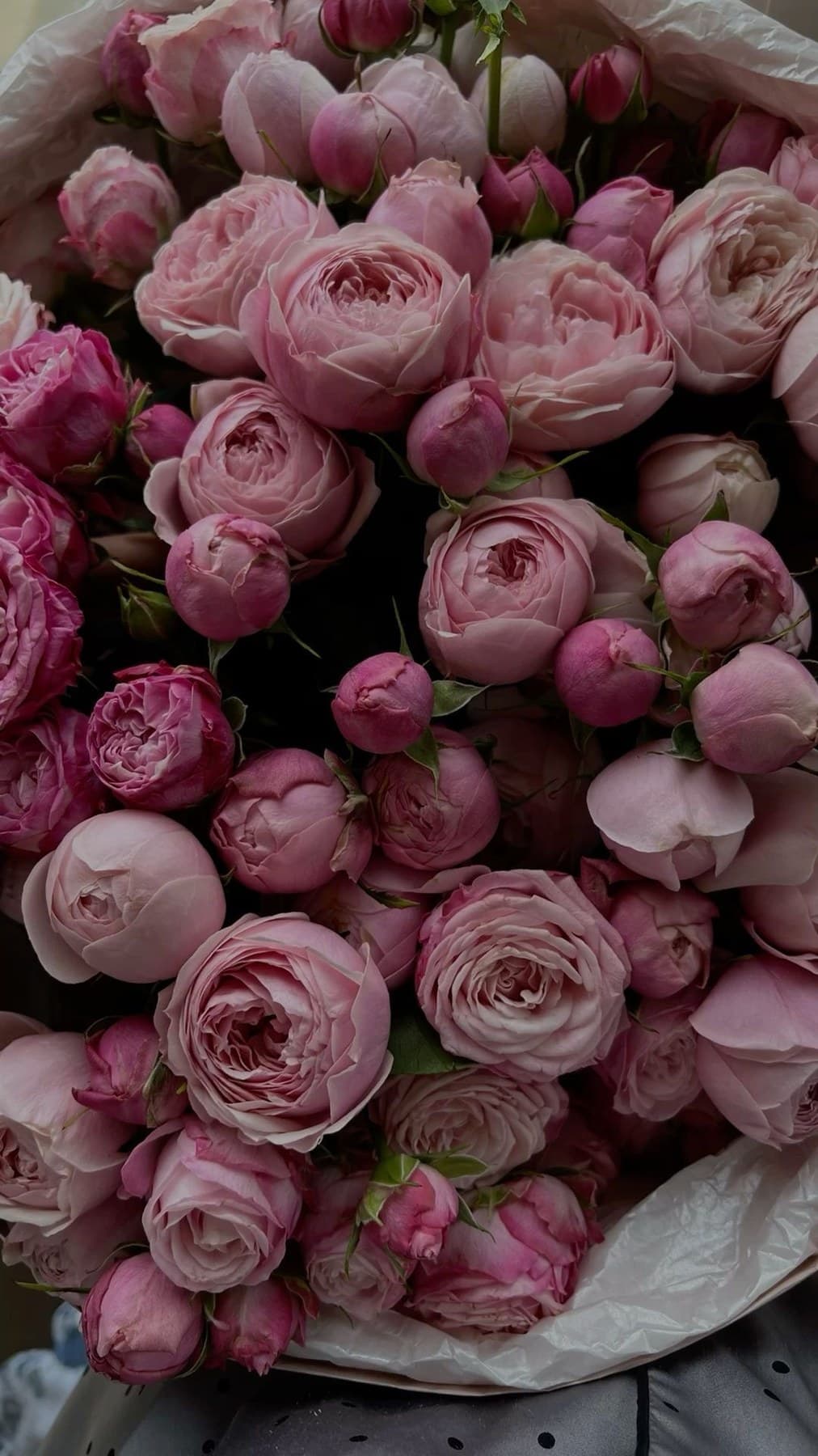 Карминовая нежность — букет Bellaflore