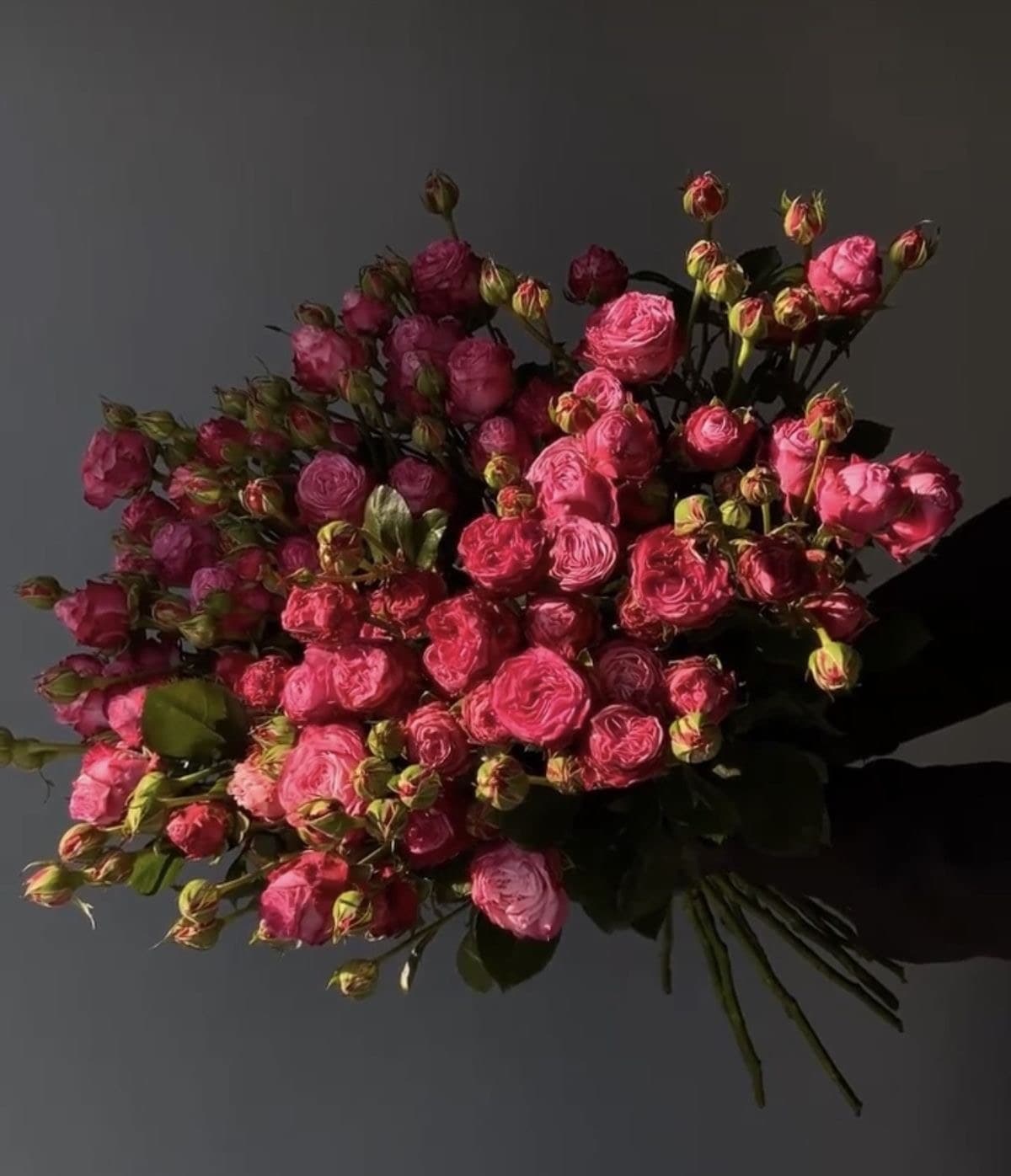 Бордовая симфония — букет Bellaflore