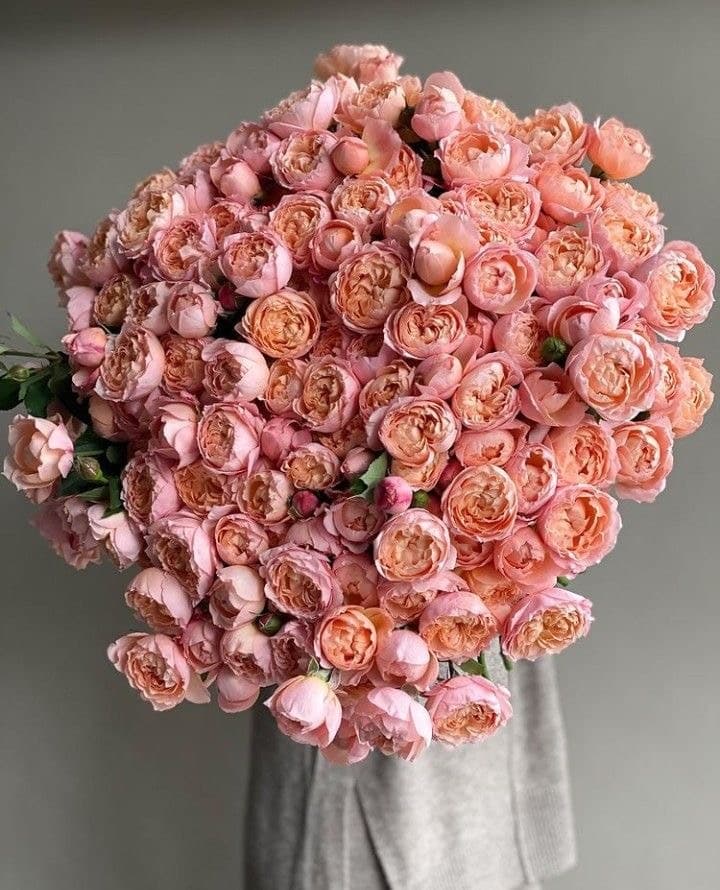 Вишнёвая роскошь — букет Bellaflore
