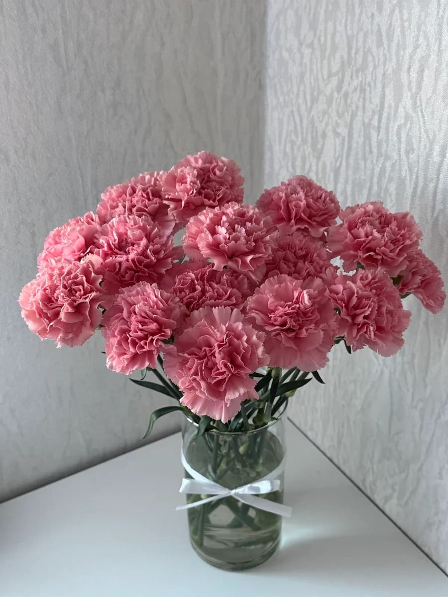 15 Гвоздика Dianthus