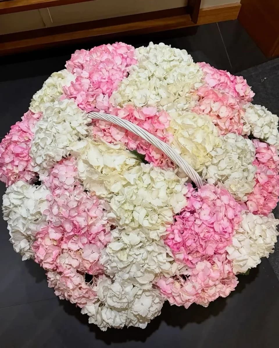 25 гортензий в корзине