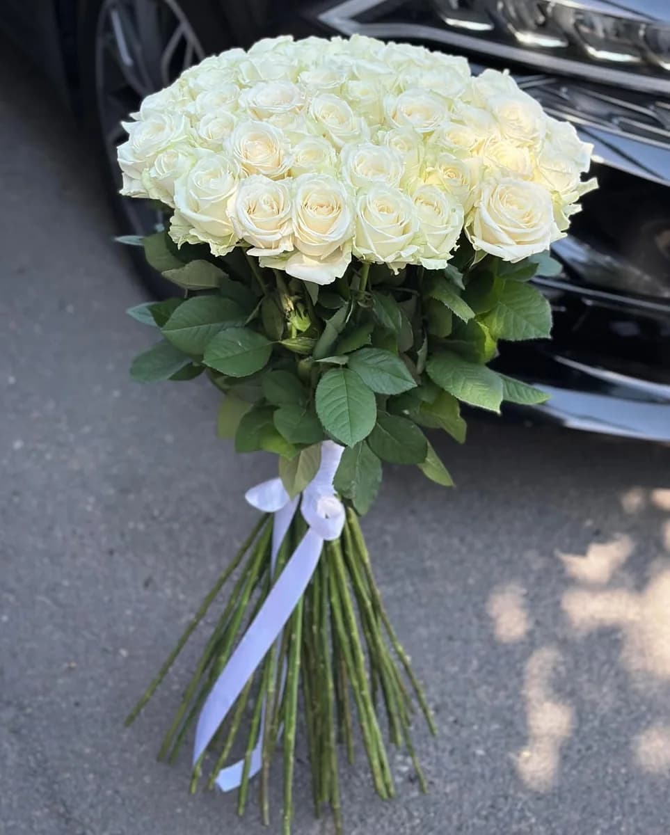 51 Роза Белое Утро — фото 2