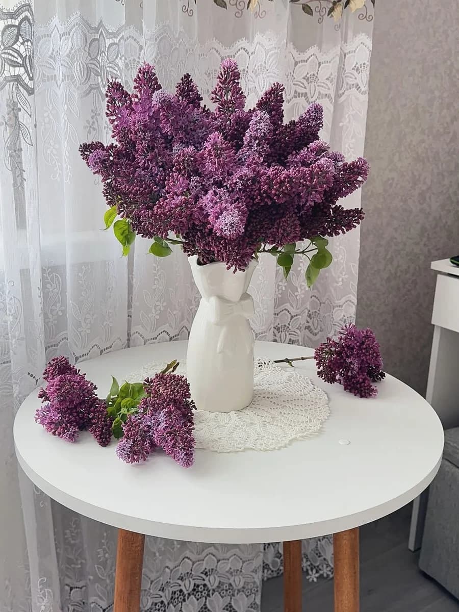 Сиреневое утро