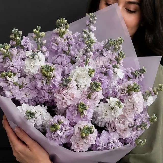 Маттиола Элегия — фото 2