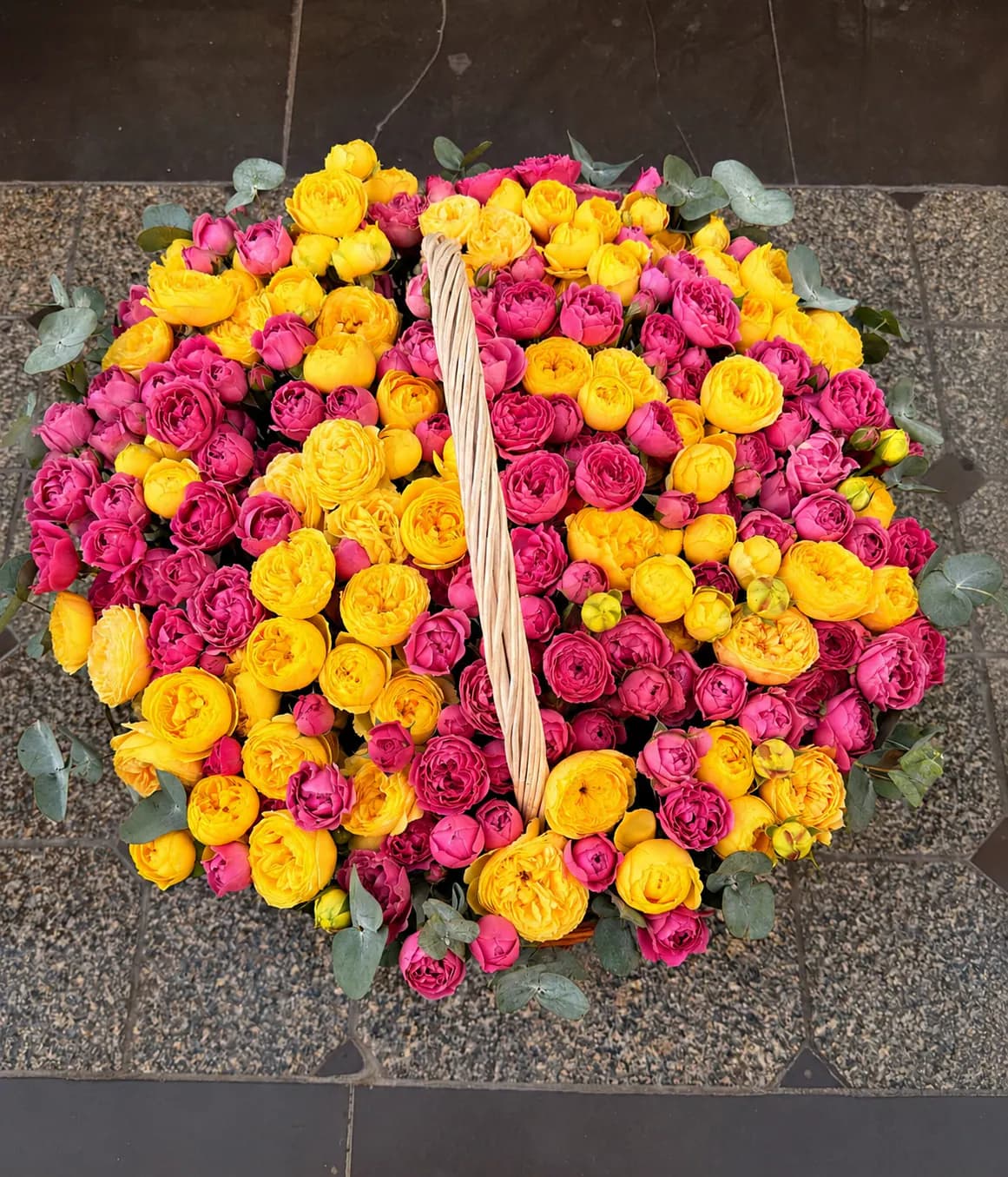 Солнечная радость