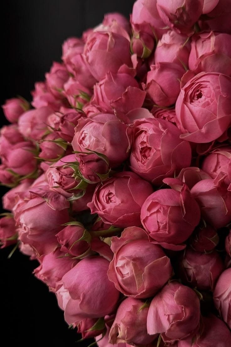 Вишнёвая нежность — букет Bellaflore
