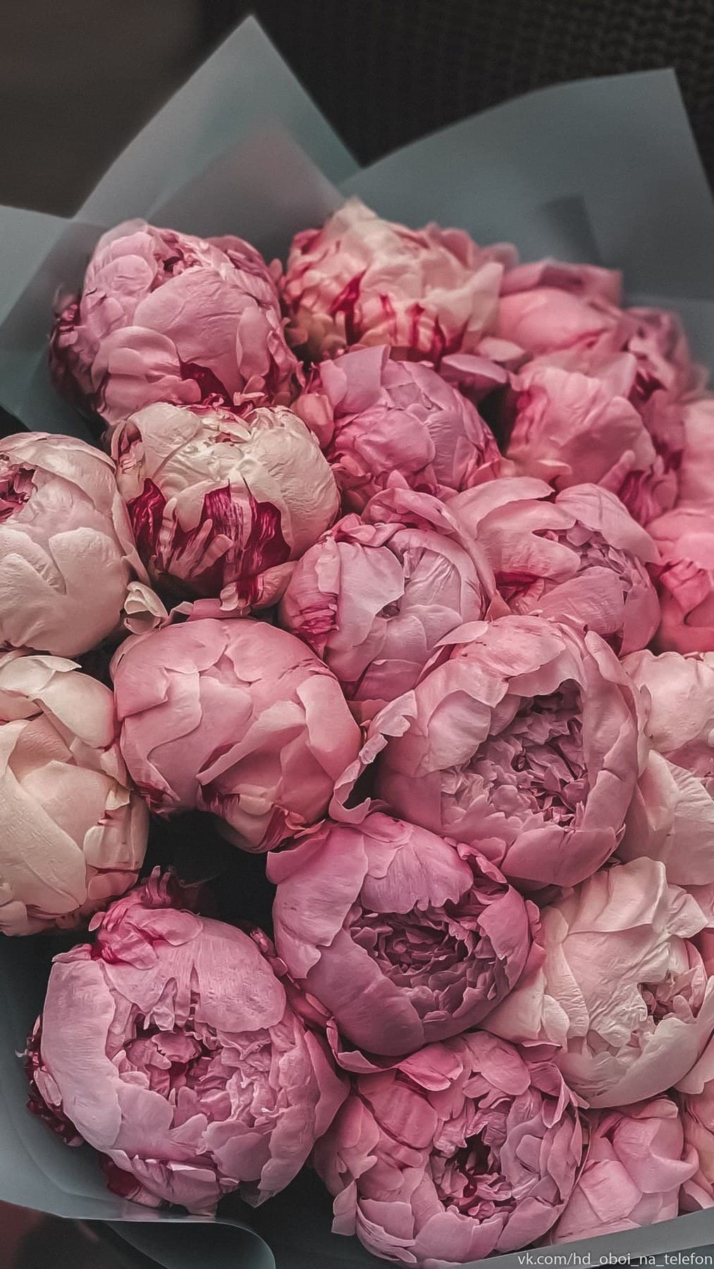 Бархатная нежность — букет Bellaflore